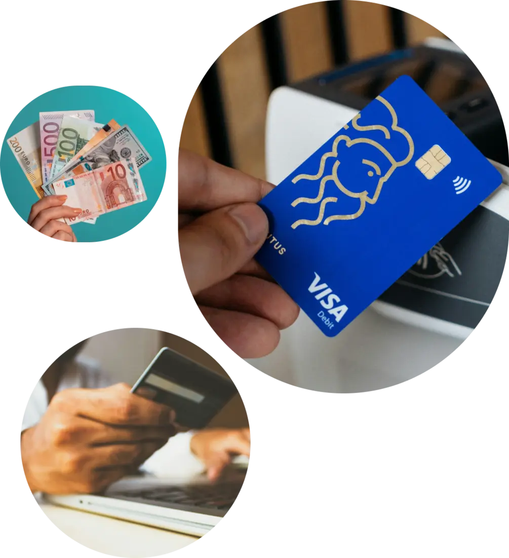 big cat safaris image about payments